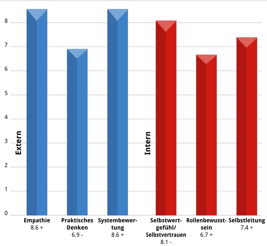 Innermetrix Kompetenz Analyse