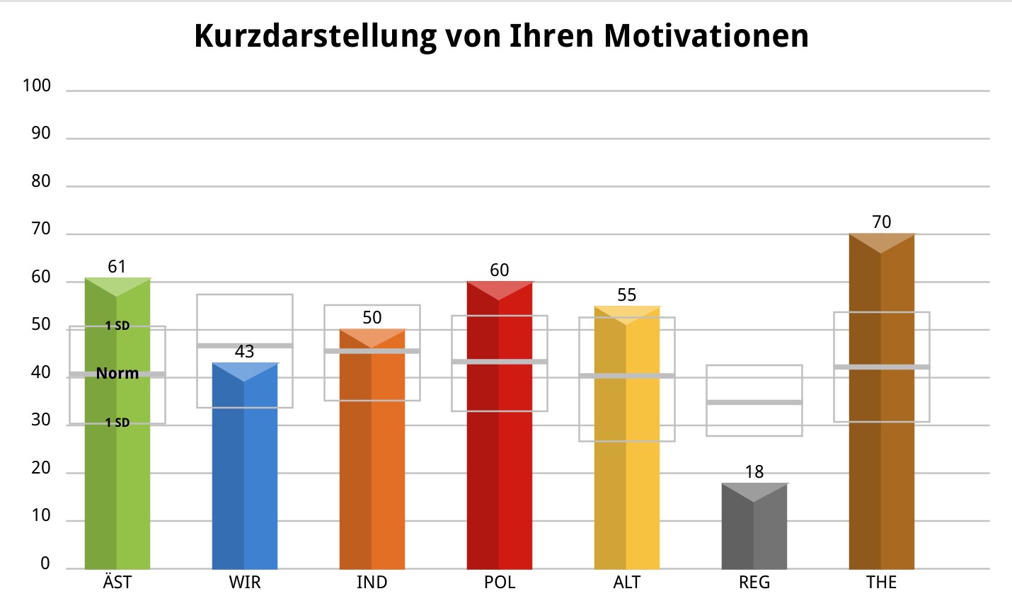 Innermetrix Motivatoren Analyse